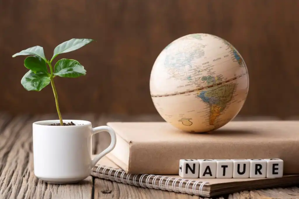 Sustainability Reporting
