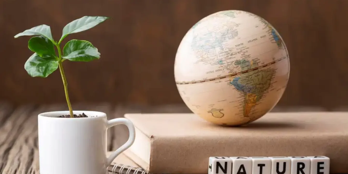 Sustainability Reporting