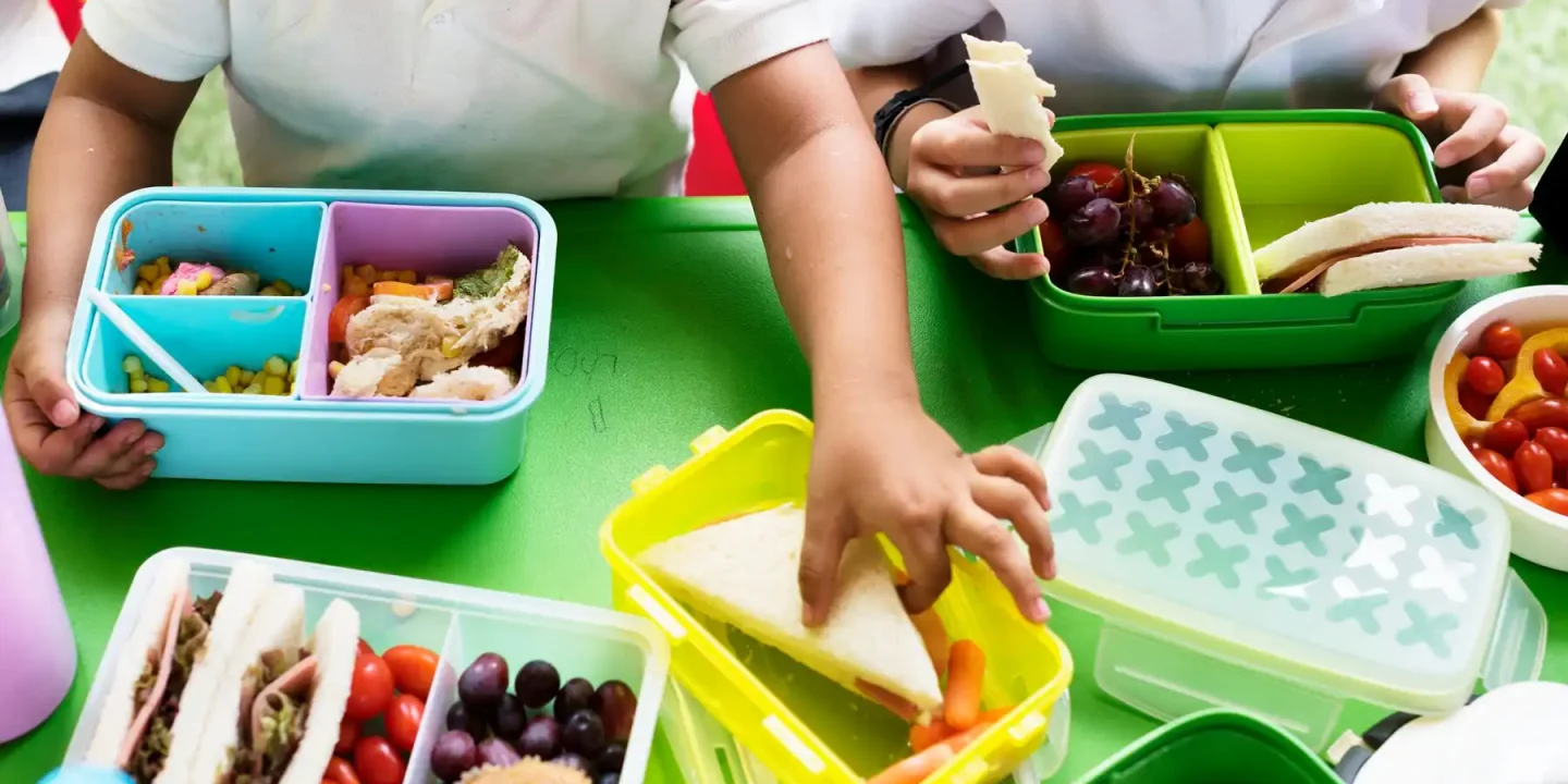 makan bergizi gratis